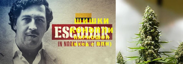 эйфоретик Липки