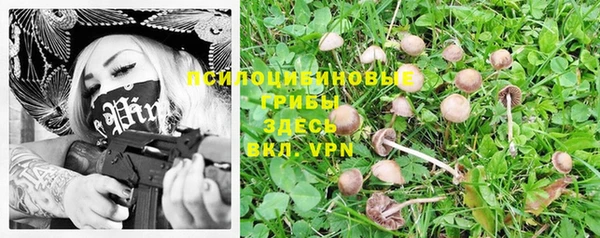 mdpv Лихославль