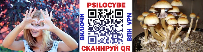 Галлюциногенные грибы GOLDEN TEACHER  Павловск 